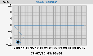 Wind Vector